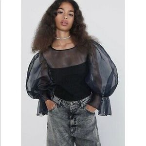 Zara organza puff sleeve top